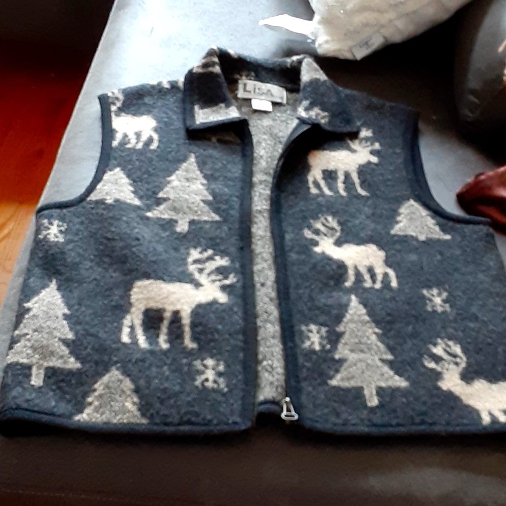Boiled wool sweater vest